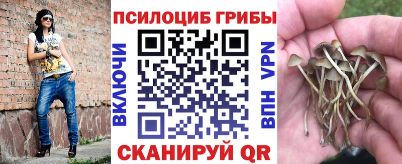 Псилоцибиновые грибы прущие грибы  Козьмодемьянск 